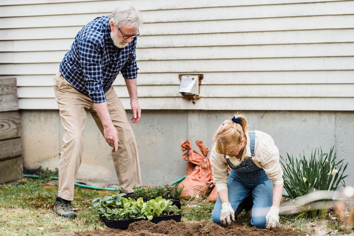 An older couple planting seedlings together in their garden